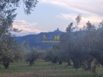 Terreno agricola en venta en Roquetes