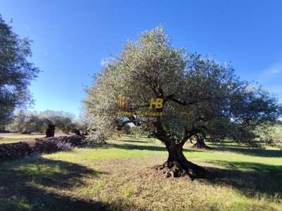 Terreno rustico en venta en Tivenys