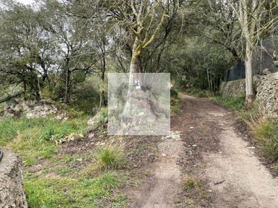 Terreno rural en venta en Arta