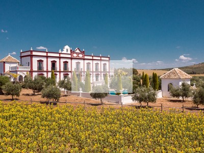 Cortijo en venta en Moron De La Frontera, Manga Pi, con 8 dormitorios, 9 baños, 2 plazas de garaje, trastero, 4 balcones, 13 terrazas y terreno