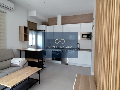 Estudio en alquiler en Malaga, con baño