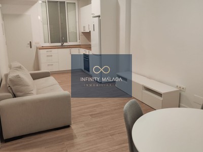 Piso en alquiler en Malaga, con 1 dormitorio y baño