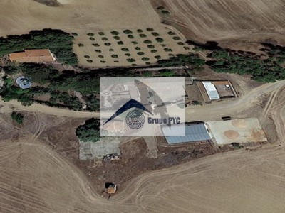 Finca rústica en venta en Pétrola, 156 Hectáreas