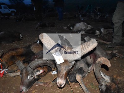 Finca rústica en venta en Narboneta, 2.100 Hectáreas Caza Mayor