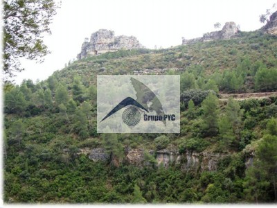 ¡Paraíso para Cazadores y Amantes de la Naturaleza en Moixent!