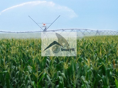 Finca de regadío en venta en Tobarra