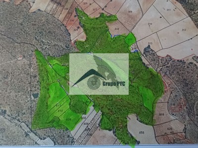 Finca labor y caza en venta en Pozohondo