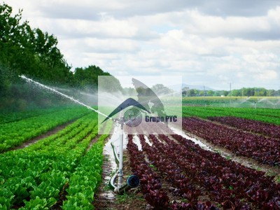 Finca de regadío en venta en Santa Ana