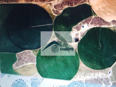 Finca de regadío en venta en Albacete, A Pocos Minutos