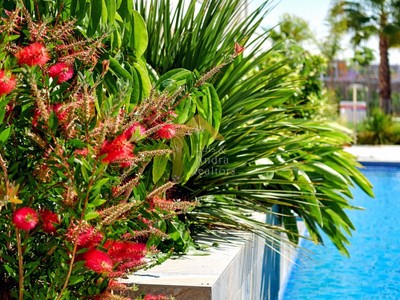 Apartamento en venta en Torrevieja, con 2 dormitorios y 2 baños