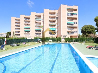 Apartamento en venta en Orihuela Costa, con 3 dormitorios, 2 baños y terraza