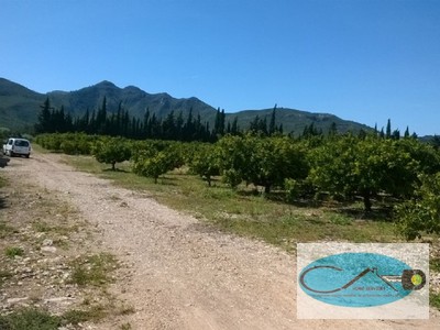 Terreno agricola en venta en Sant Carles De La Rapita, Cami Brusca