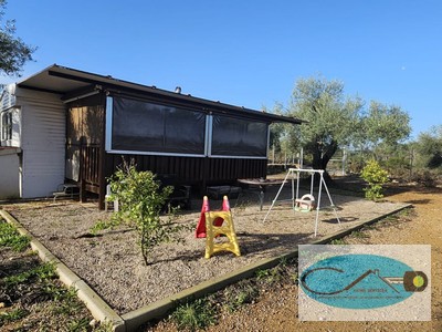 Terreno agricola en venta en Freginals