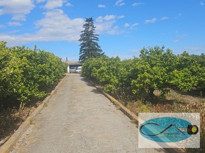 Finca con casa en venta en Vinarós
