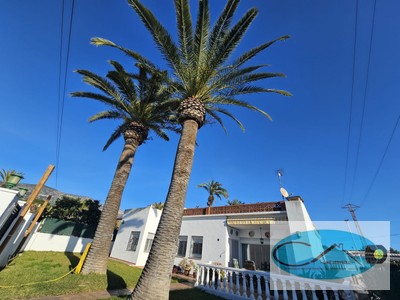 Chalet en alquiler en Alcanar, Alcanar Playa, con 3 dormitorios, 2 baños, terraza y terreno