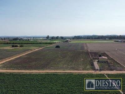 Parcela rustica en venta en Don Benito, Las Arenas