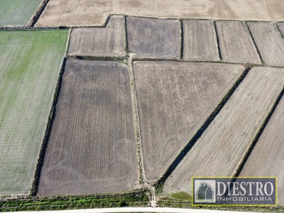 Finca rústica en venta en Ruecas, con terreno