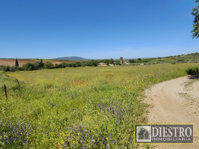 Parcela rustica en venta en Magacela