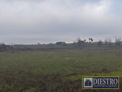 Parcela rustica en venta en Don Benito, Las Arenas