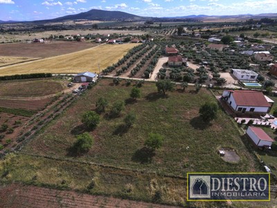 Parcela rustica en venta en Don Benito, Las Cruces