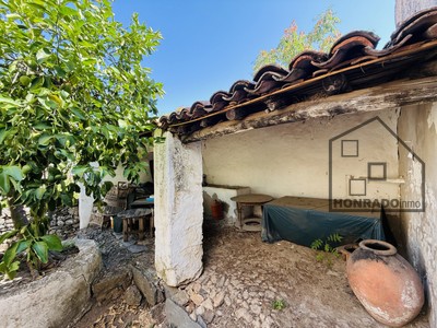 PATIO TECHADO