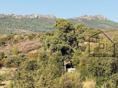 VISTAS