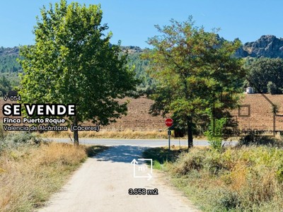 Terreno rural en venta en Valencia De Alcantara
