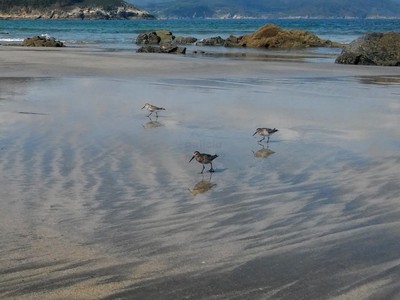 playa de La Concha