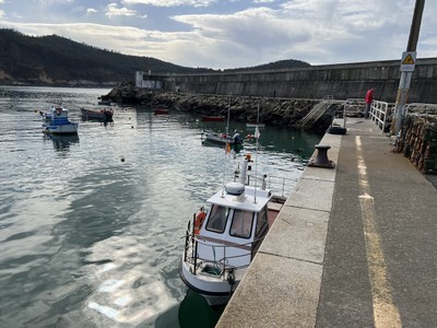 puerto pesquero
