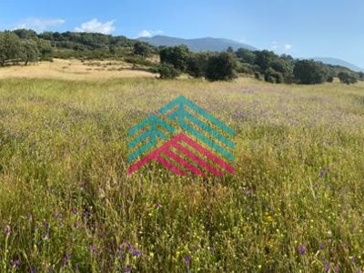 Terreno en venta en Candeleda, La Nogalera