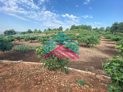 Casa en venta en Candeleda, El Lechal, con 2 dormitorios, baño, 9 plazas de garaje, trastero y terreno