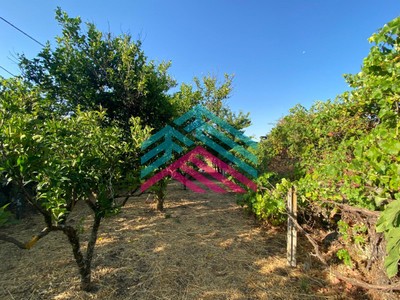 Terreno en venta en Candeleda, La Cañada