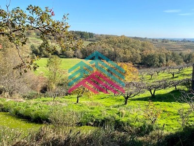 Casa en venta en Candeleda, El Raso, con trastero y terreno