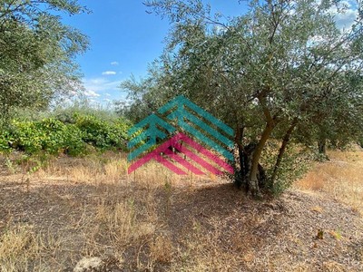 Terreno en venta en El Raso, Barrero