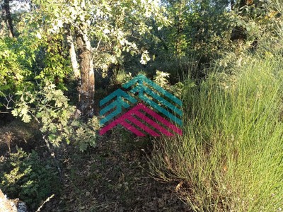 Terreno en venta en Jarandilla De La Vera, Carretera De Jarandilla A Losar