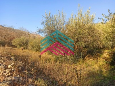 Terreno en venta en Jarandilla De La Vera, Convento De San Francisco