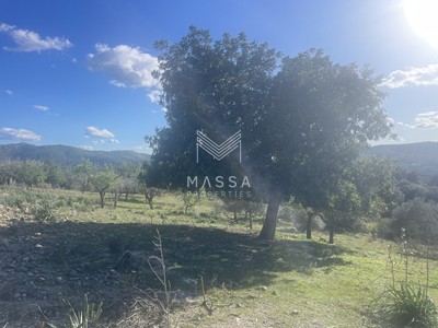 Terreno rural en venta en Artà