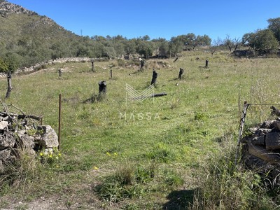 Terreno rural en venta en Sant Lorenç Des Cardassar