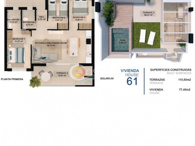 Plano