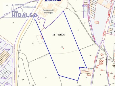 Terreno rural en venta en Marchena