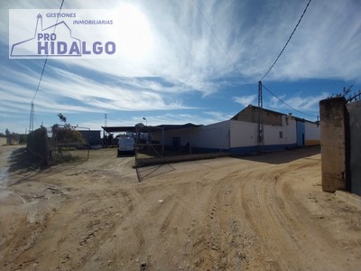 Finca rústica en venta en Marchena