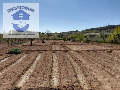 Terreno rural en venta en Sant Pere De Riudebitlles, Les Planes