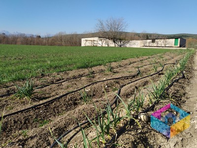 Finca rústica en venta en Cazorla, El Molar