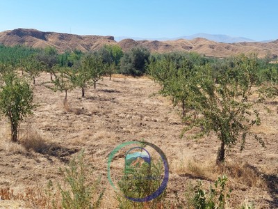 Terreno rural en venta en Purullena