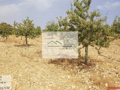Terreno rural en venta en Motilla Del Palancar