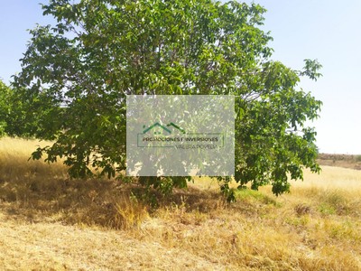 Terreno rural en venta en Valhermoso De La Fuente