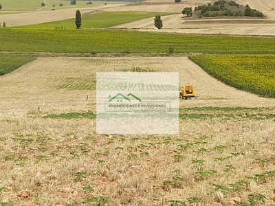 Terreno rural en venta en Chumillas