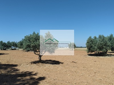 Terreno rural en venta en Motilla Del Palancar