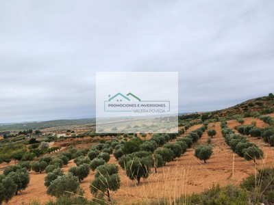Terreno rural en venta en Almansa