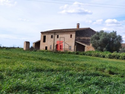 Chalet y finca rústica en venta en Campos